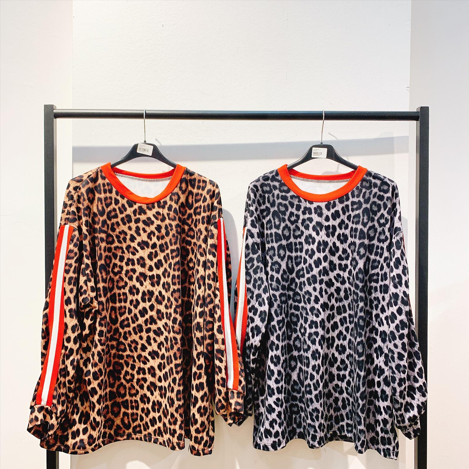 CAS CARA by Cherry´s GmbH - Damenbekleidung Pronto Moda | Artikel-Nr. LS-35044 | SWEATSHIRT | 95% BAUMWOLLE5% ELASTOMER | Kategorie: SWEATSHIRTS | Angebot: Damenbekleidung, Young Fashion, Sofortprogramme, Orderware | Adresse: Cherry´s GmbH - Breslauer Str. 1 - 41460 Neuss - Tel: 021313843120 - cherrysgmbh@gmail.com